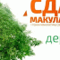 На Кубани состоится акция «Сдай макулатуру — спаси дерево!» - Знамя Труда