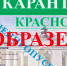 Cпецпропуск на время карантина: кому нужен и как его получить - Знамя Труда