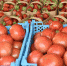 Кубанским фермерам предложили новые способы реализации с/х продукции - Знамя Труда