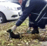Щенка упавшего в канализационный люк КубаньСПАСовцы достали невредимым - Знамя Труда